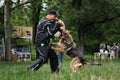 Russia Krasnodar 30.05.2021 monopred dog show German Shepherd breed. Shepherd bites sleeve of trainer and hangs on it. Powerful Royalty Free Stock Photo