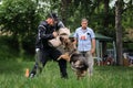 Russia Krasnodar 30.05.2021 monopred dog show German Shepherd breed. Shepherd bites sleeve of trainer and hangs on it. Powerful Royalty Free Stock Photo