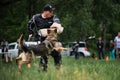 Russia Krasnodar 30.05.2021 monopred dog show German Shepherd breed. Shepherd bites sleeve of trainer and hangs on it. Powerful Royalty Free Stock Photo