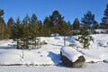 Russia, lake Ladoga Ladozhskoye, the gulf of Murolakhti Kocherga in frosty winter day