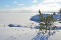 Russia, lake Ladoga Ladozhskoye, the gulf of Murolakhti Kocherga in frosty winter day