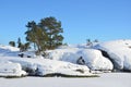 Russia, lake Ladoga Ladozhskoye, the gulf of Murolakhti Kocherga in frosty winter day