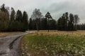 Russia, Leningrad region. Forest roads Royalty Free Stock Photo