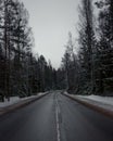 Russia, Leningrad region. Forest roads Royalty Free Stock Photo