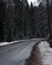 Russia, Leningrad region. Forest roads Royalty Free Stock Photo