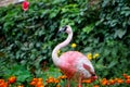 Russia, Magnitogorsk, August 10, 2019. Garden sculpture - pink flamingo among flowers in a flower bed of one of the city streets