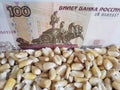 Russia, maize producing country, dry corn grains and russian banknote of 100 rubles