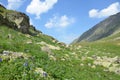 Russia, meadow geranium on the banks of the Imeretinskoye lake lake of Silence in august