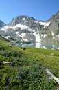 Russia, meadow geranium on the banks of the Imeretinskoye lake lake of Silence in august