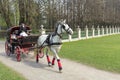 RUSSIA MOSCOW -24 April 2019 Coachman in cloak sits in coach with horse and hold reins in spring park Royalty Free Stock Photo