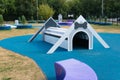 RUSSIA, MOSCOW - AUG 28, 2022: dog pet animal training park walk area puppy fun, for equipment play from character from