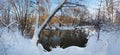 Russia Moscow forest snow the river Yauza