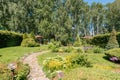 Russia, Moscow- July 06, 2019: green coniferous garden, spruce fir-tree plants by the country house. beautiful landscaping Royalty Free Stock Photo