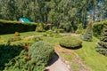 Russia, Moscow- July 06, 2019: green coniferous garden, spruce fir-tree plants by the country house. beautiful landscaping Royalty Free Stock Photo