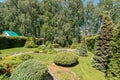 Russia, Moscow- July 06, 2019: green coniferous garden, spruce fir-tree plants by the country house. beautiful landscaping Royalty Free Stock Photo