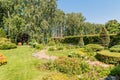 Russia, Moscow- July 06, 2019: green coniferous garden, spruce fir-tree plants by the country house. beautiful landscaping Royalty Free Stock Photo