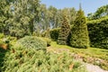 Russia, Moscow- July 06, 2019: green coniferous garden, spruce fir-tree plants by the country house. beautiful landscaping Royalty Free Stock Photo