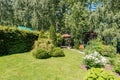 Russia, Moscow- July 06, 2019: green coniferous garden, spruce fir-tree plants by the country house. beautiful landscaping Royalty Free Stock Photo