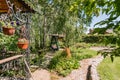 Russia, Moscow- July 06, 2019: green coniferous garden, spruce fir-tree plants by the country house. beautiful landscaping Royalty Free Stock Photo