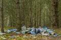 Russia, Moscow - November 25, 2017. Ecological crisis. Different garbage and trash on a ground in the forest