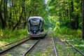 Russia, Moscow 2022. The tram goes through the forest. Tram rails in the corridor of trees in Moscow.