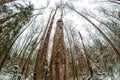 Russia - November 2015: Makosh - Slavic pagan idol on the forest temple