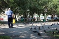 a flock of birds in the city of pigeons in the park a man goes in the summer