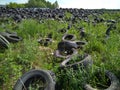 a large dump of old unnecessary car tires pollutes the environment Royalty Free Stock Photo