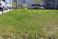 Russia, lawn with green grass in the park near parked cars in the city ecology