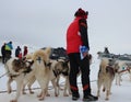 A man with husky dogs in winter on a leash a pack of animals for snow