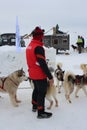 a man with husky dogs in winter on a leash a pack of animals for snow