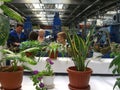 Russia, Novosibirsk, September 18, 2012: many visitors are inside the production premises on a tour of the factory floor, the