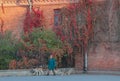 Russia, old St. Petersburg. People in the city, a woman with two dogs, autumn, bright textured nature and a red brick building, si