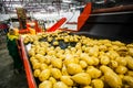 Russia, Omsk - September 26, 2014: vegetable factory