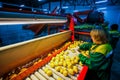 Russia, Omsk - September 26, 2014: vegetable factory