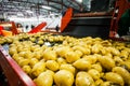 Russia, Omsk - September 26, 2014: vegetable factory