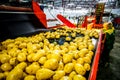 Russia, Omsk - September 26, 2014: vegetable factory