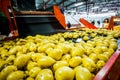 Russia, Omsk - September 26, 2014: vegetable factory