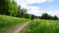 Russia. Pavlovsk Park in early June 2016 . A natural landscape. Royalty Free Stock Photo