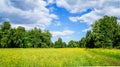 Russia. Pavlovsk Park in early June 2016 . A natural landscape. Royalty Free Stock Photo