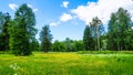 Russia. Pavlovsk Park in early June 2016 . A natural landscape. Royalty Free Stock Photo