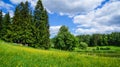 Russia. Pavlovsk Park in early June 2016 . A natural landscape. Royalty Free Stock Photo