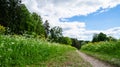 Russia. Pavlovsk Park in early June 2016 . A natural landscape. Royalty Free Stock Photo