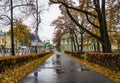 Russia, Peterhof - November 3, 2023: Autumn city street after rain