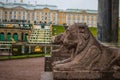 Russia, Peterhof - November 3, 2023: Stone statues of lions in the Lower Park