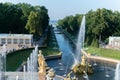 RUSSIA, PETERSBURG - AUG 19, 2022: fountain peterhof palace petersburg russia grand st cascade golden, for russian park