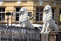 Russia, Petersburg, July 1, 2019. Lions on the Lion Bridge. In the photo Lions on the Lion`s Bridge on the Griboedov Canal