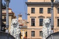 Russia, Petersburg, July 1, 2019. Lions on the Lion Bridge. In the photo Lions on the Lion`s Bridge on the Griboedov Canal