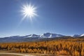 Republic of Altai. Snowy peaks of the north chui range and autumn taiga