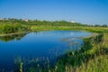 Russia. River bank Tesha